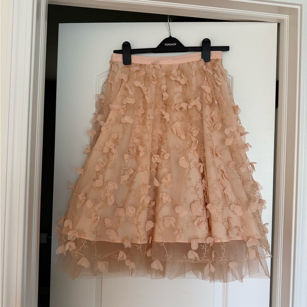 Eva Franco Blush Pink Petal-Appliqué 3D Midi Skirt - Picture 7 of 7